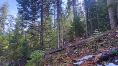 15839 Cedar Brae Road , Leavenworth, WA 98826 - Photo 6