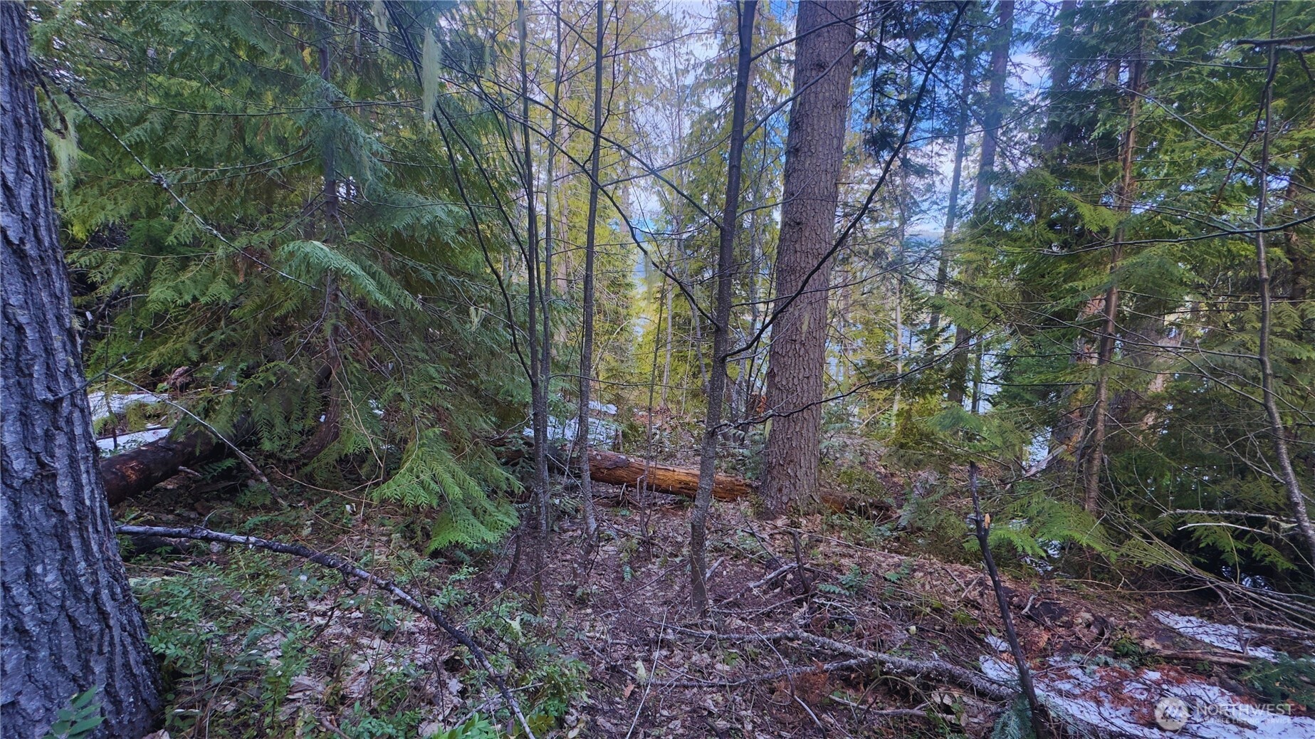 15839 Cedar Brae Road , Leavenworth, WA 98826