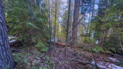 15839 Cedar Brae Road , Leavenworth, WA 98826 - Photo 7