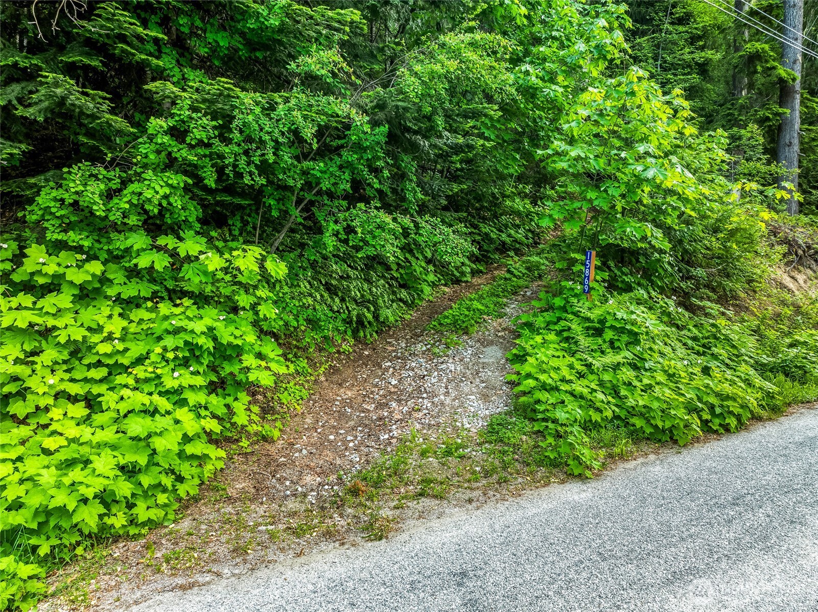15839 Cedar Brae Road , Leavenworth, WA 98826