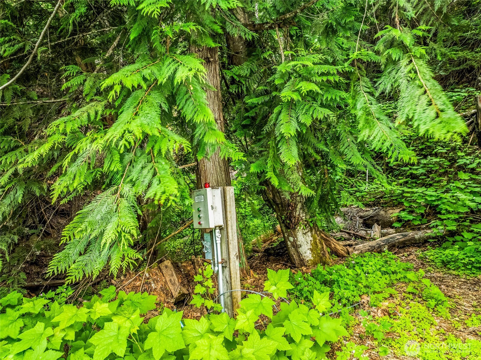 15839 Cedar Brae Road , Leavenworth, WA 98826