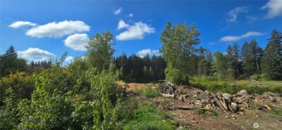 8411 Armstrong Road SW, Tumwater, WA 98512 - Photo 3