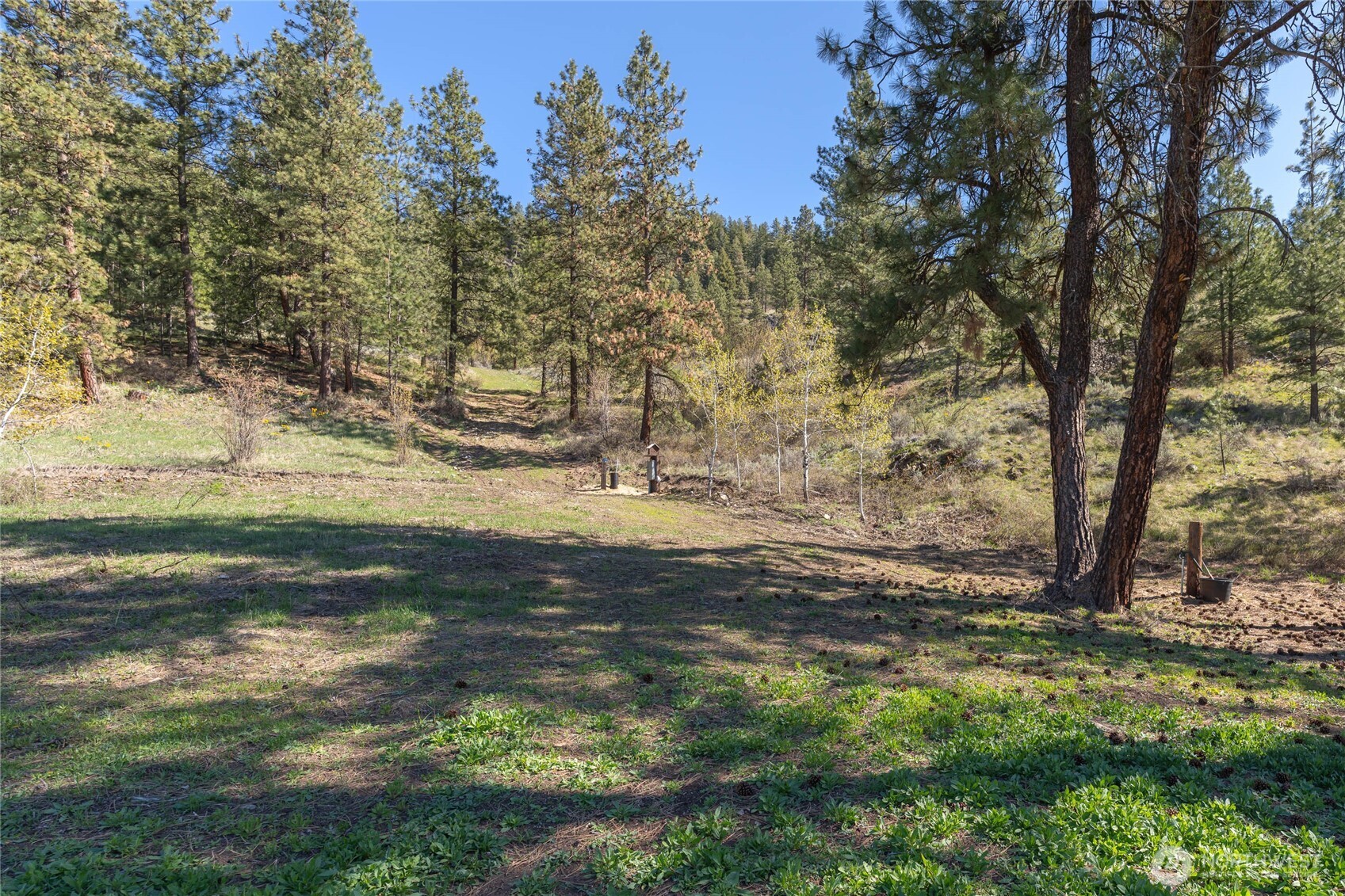 4 Lot Whiskey Mountain Ranches , Tonasket, WA 98855