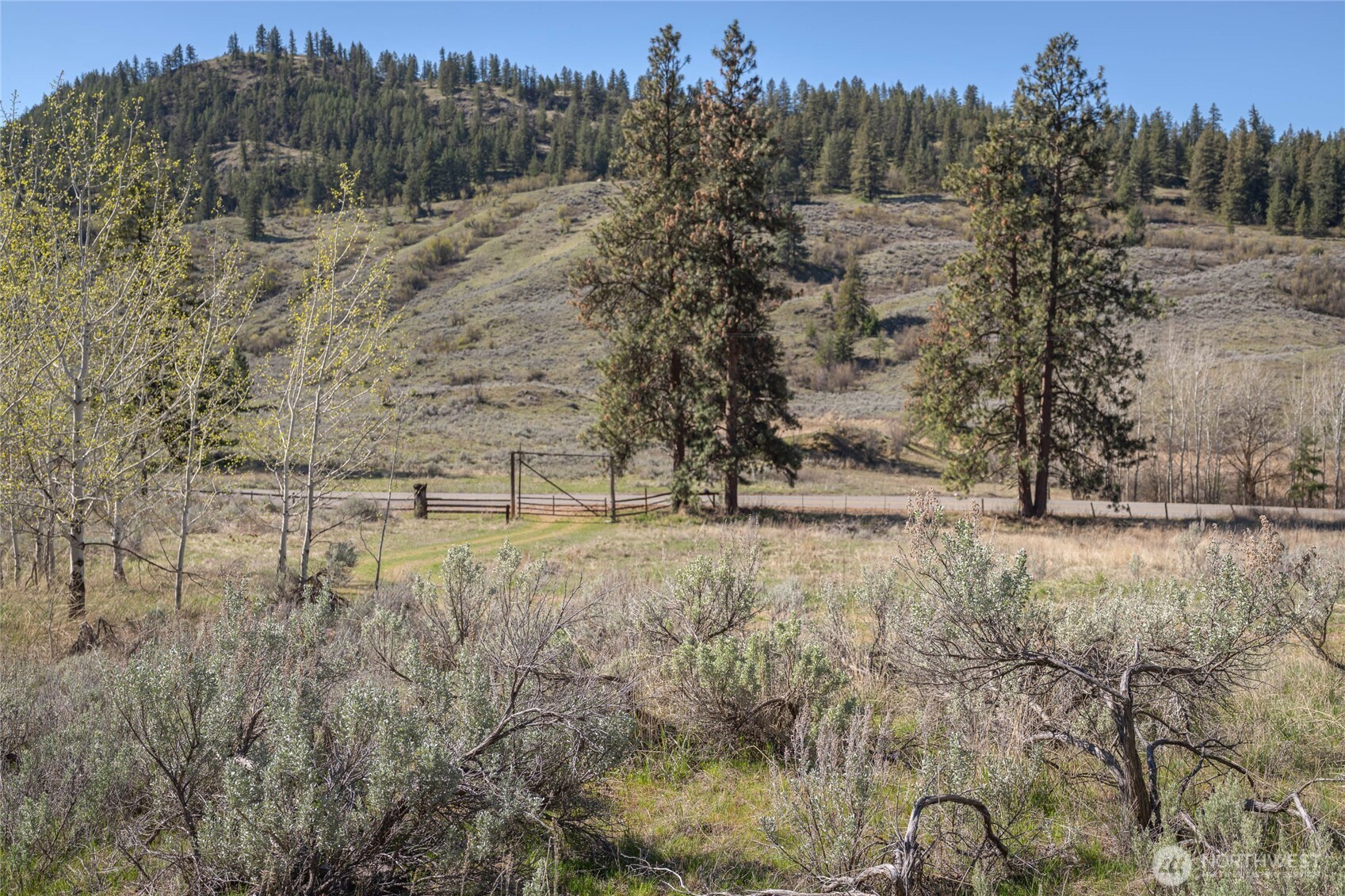 4 Lot Whiskey Mountain Ranches , Tonasket, WA 98855