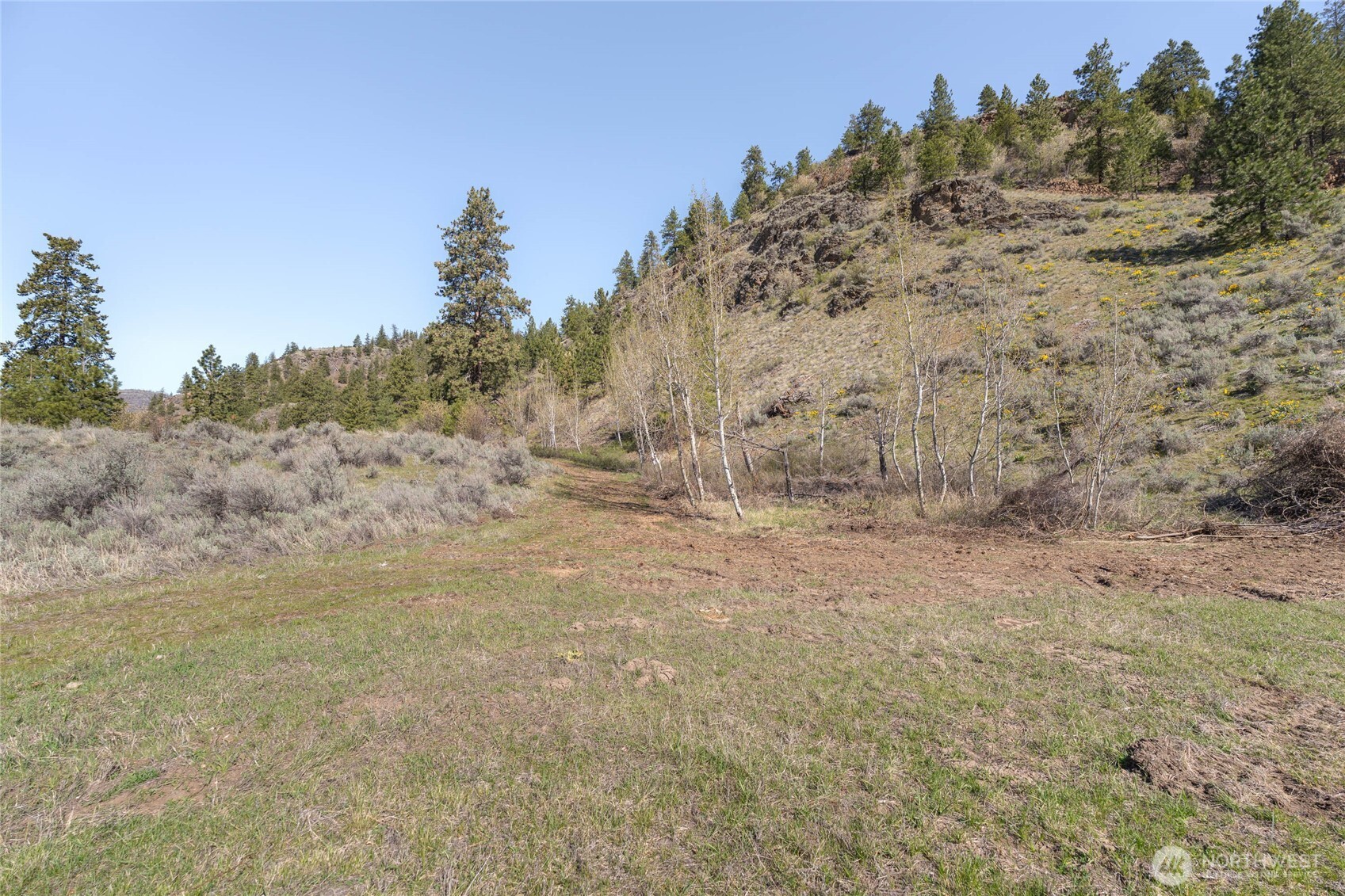 4 Lot Whiskey Mountain Ranches , Tonasket, WA 98855