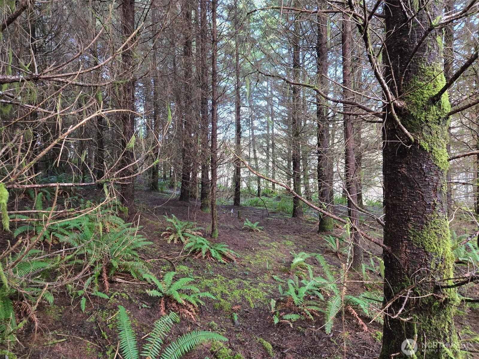 0 End of Workman Creek Road , Elma, WA 98541