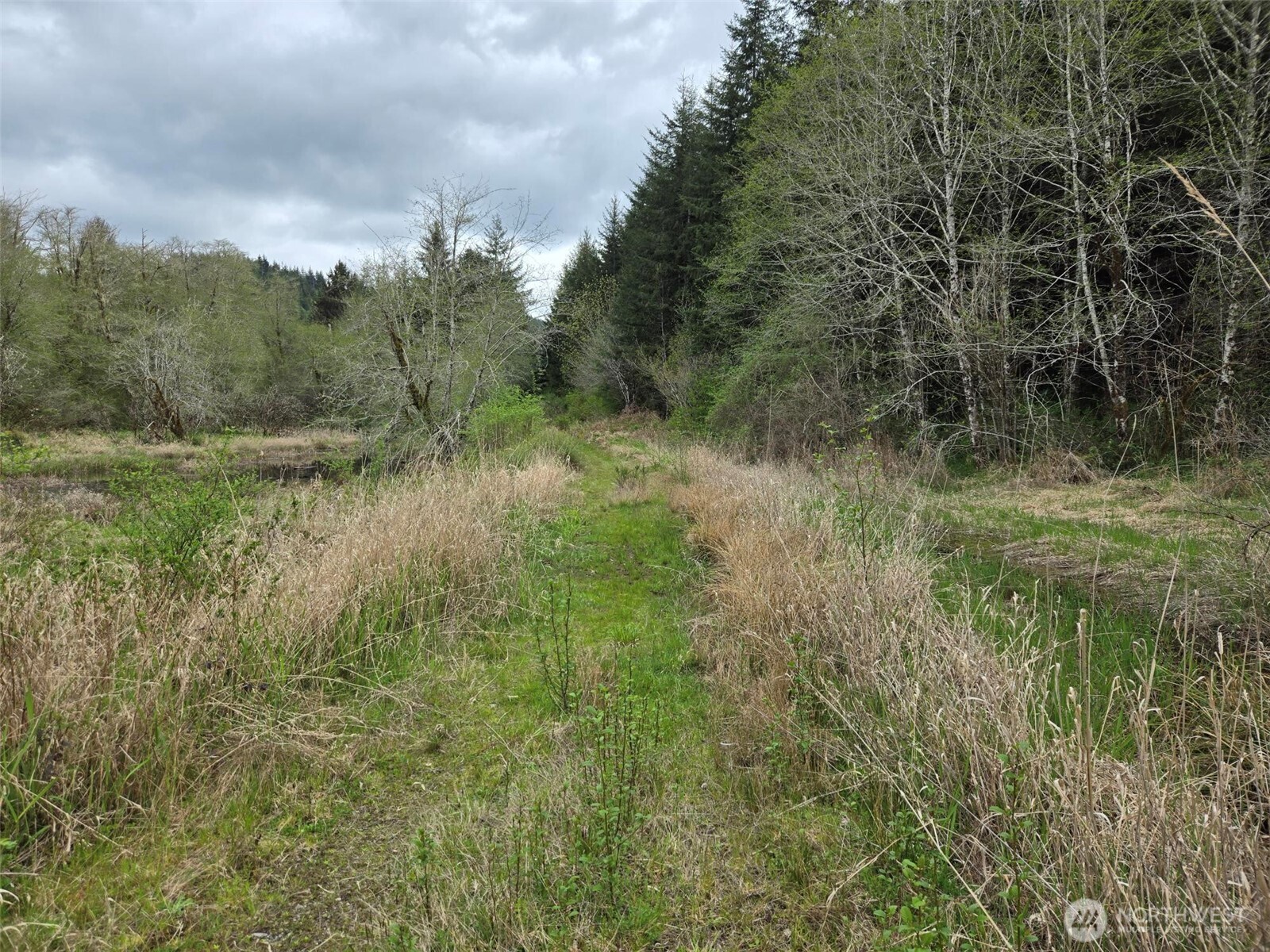 0 End of Workman Creek Road , Elma, WA 98541