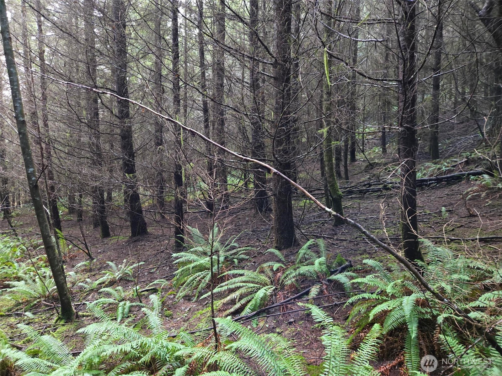0 End of Workman Creek Road , Elma, WA 98541