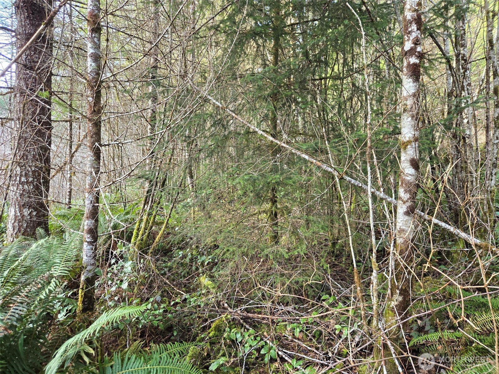 0 End of Workman Creek Road , Elma, WA 98541