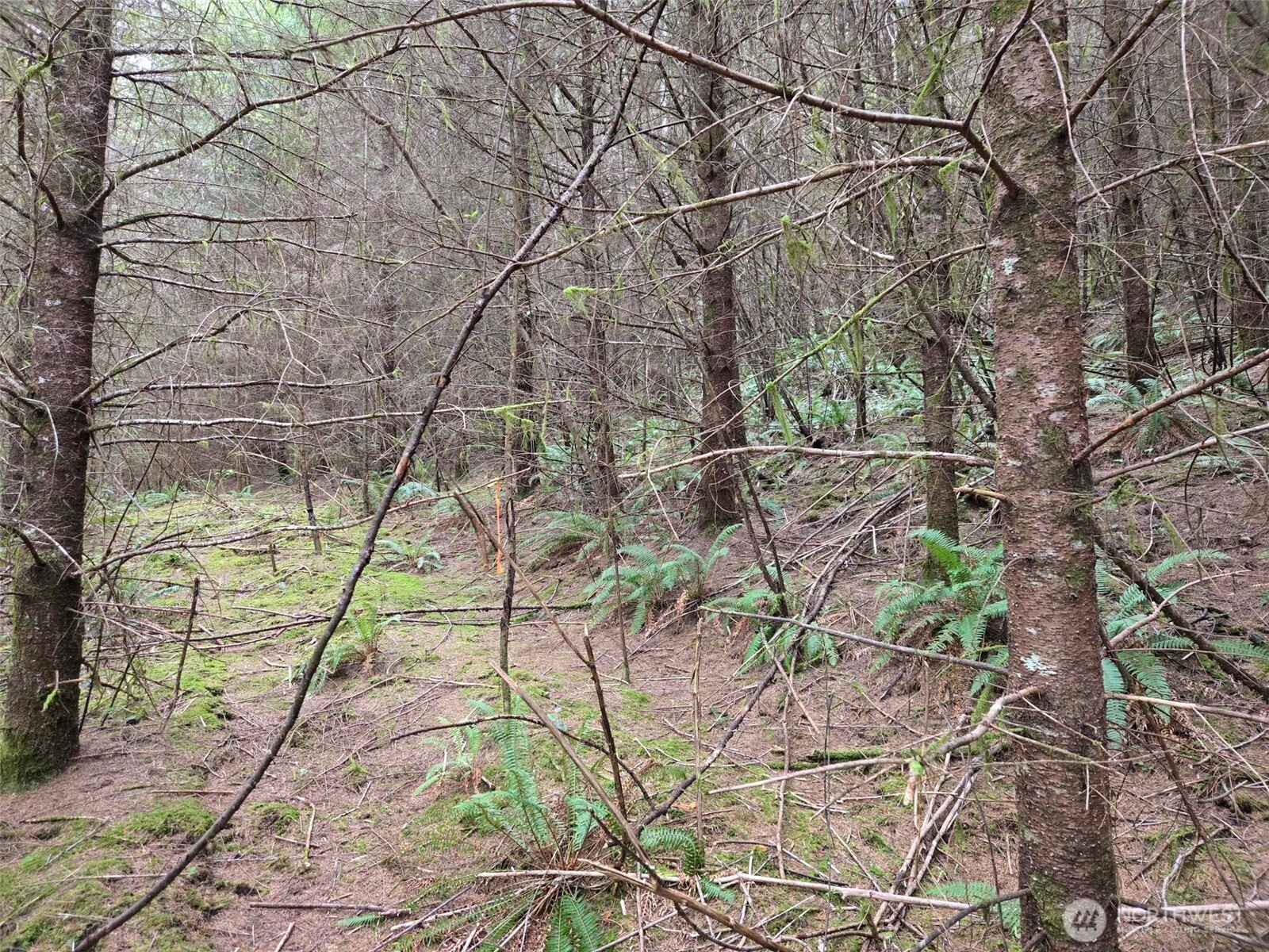 0 End of Workman Creek Road , Elma, WA 98541