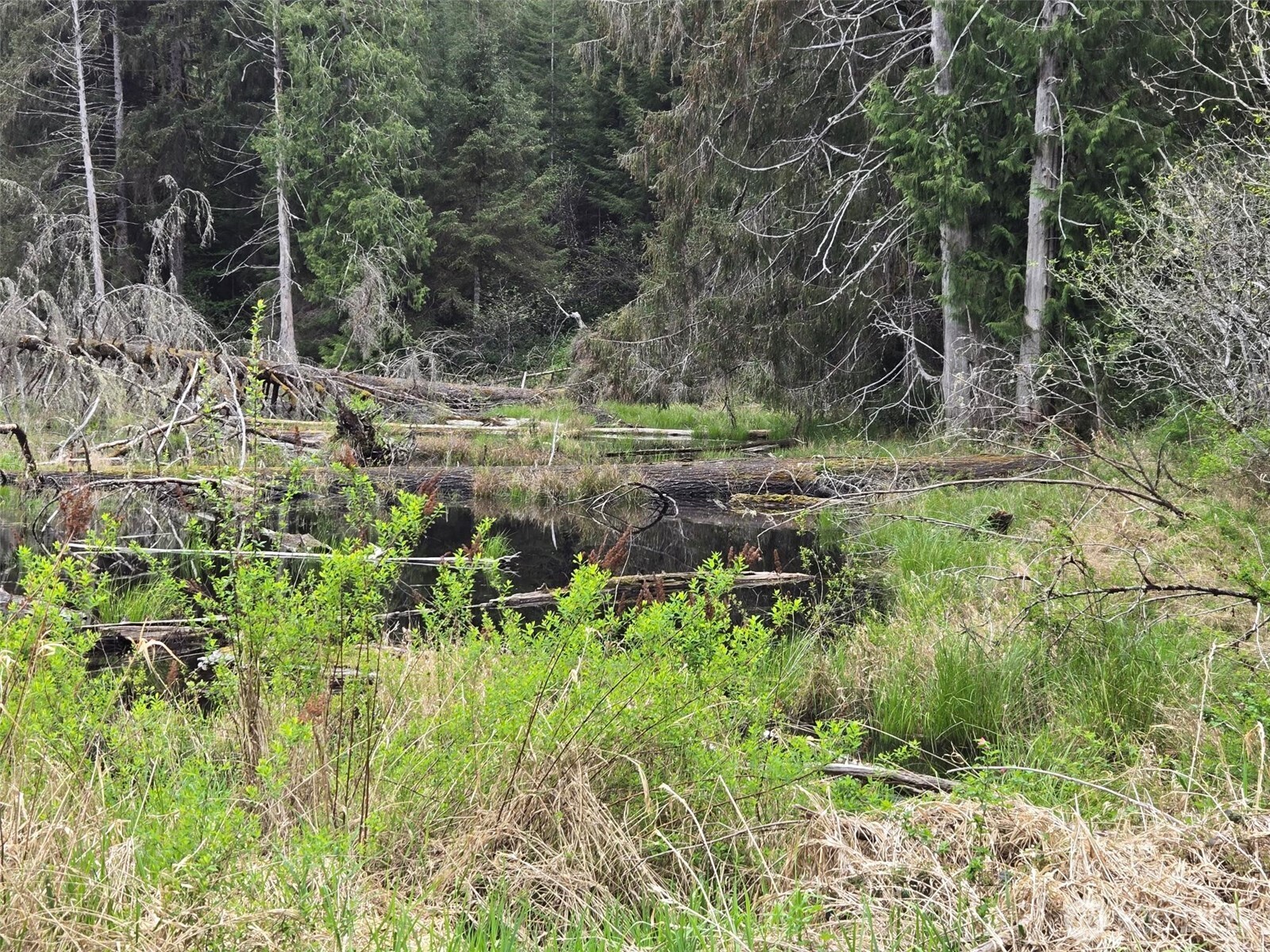0 End of Workman Creek Road , Elma, WA 98541