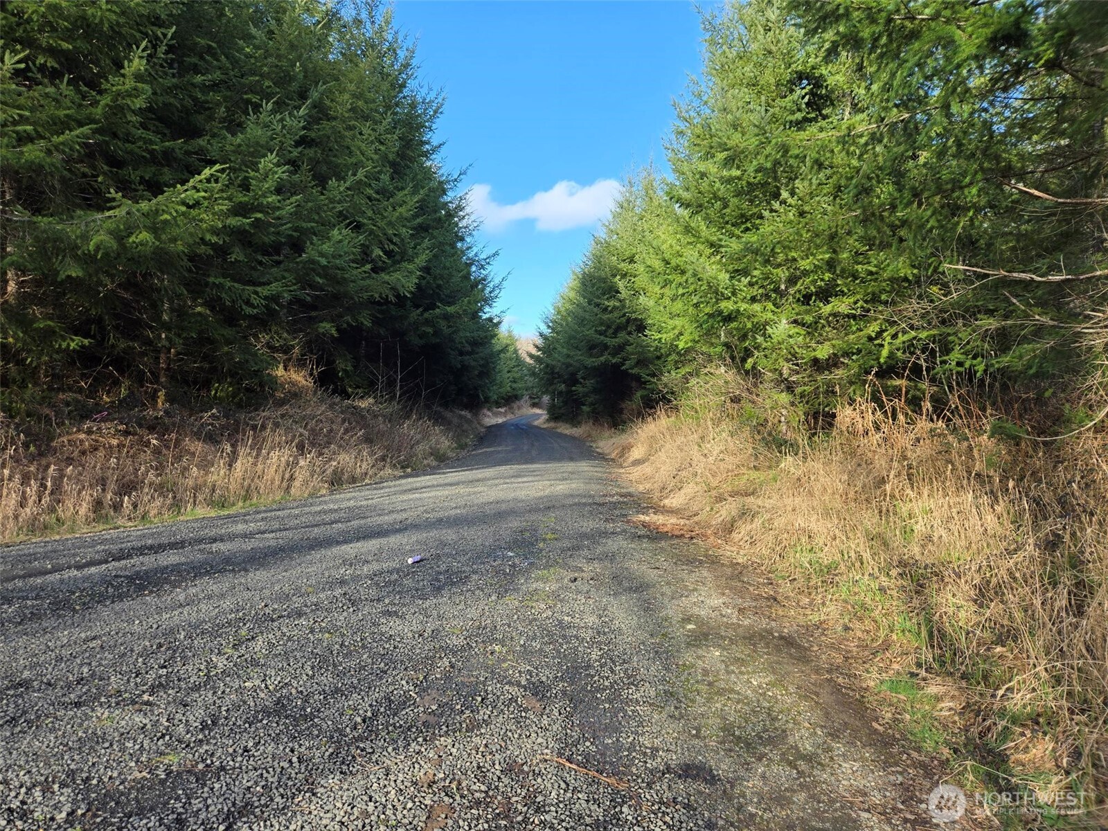0 End of Workman Creek Road , Elma, WA 98541