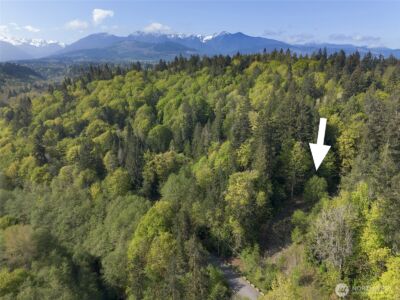 9999 Cottonwood Lane , Port Angeles, WA 98362 - Photo 1