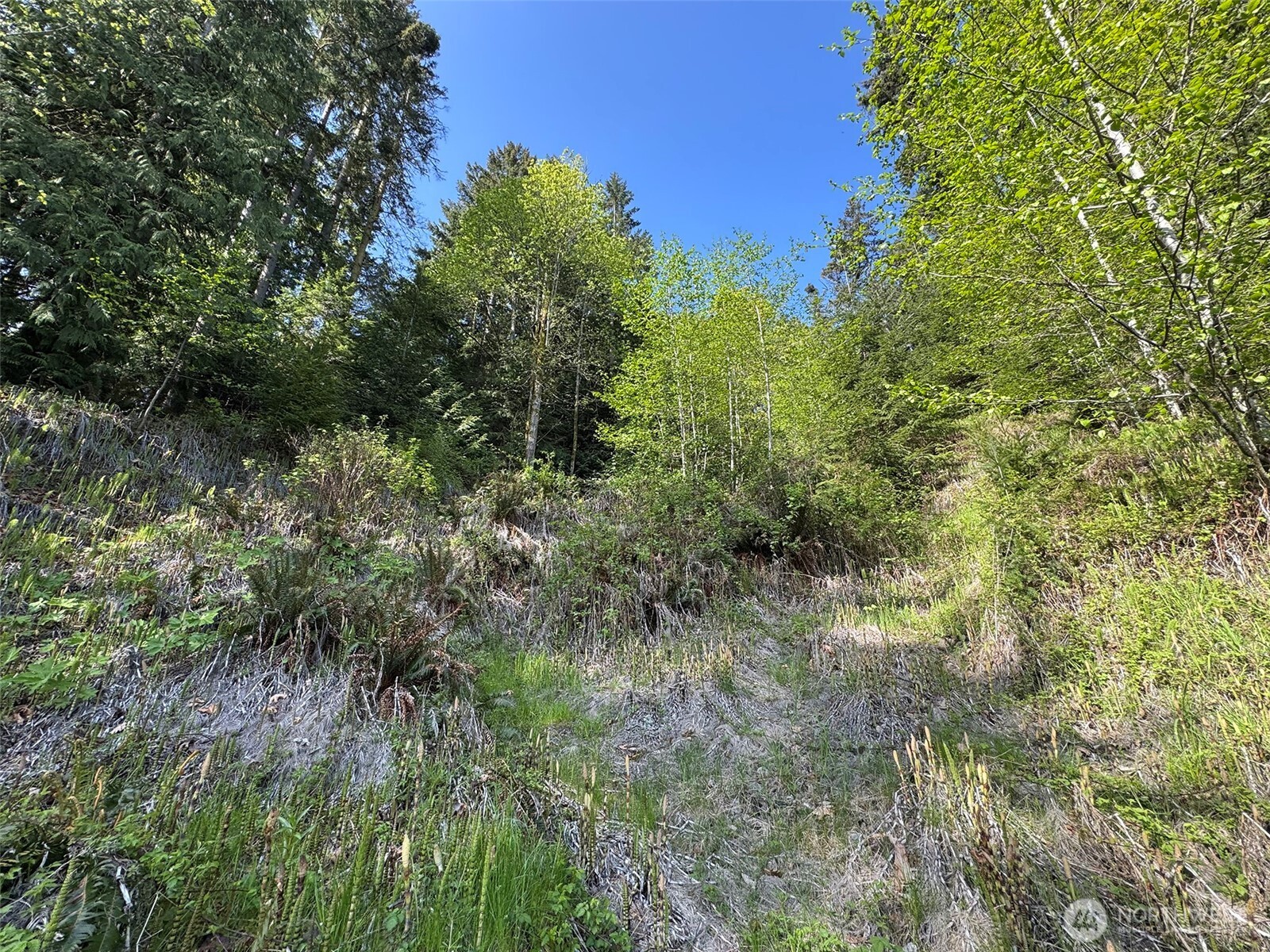 9999 Cottonwood Lane , Port Angeles, WA 98362