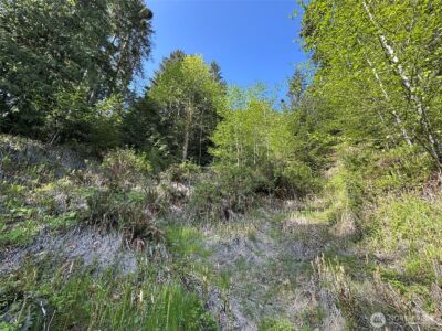 9999 Cottonwood Lane , Port Angeles, WA 98362 - Photo 11