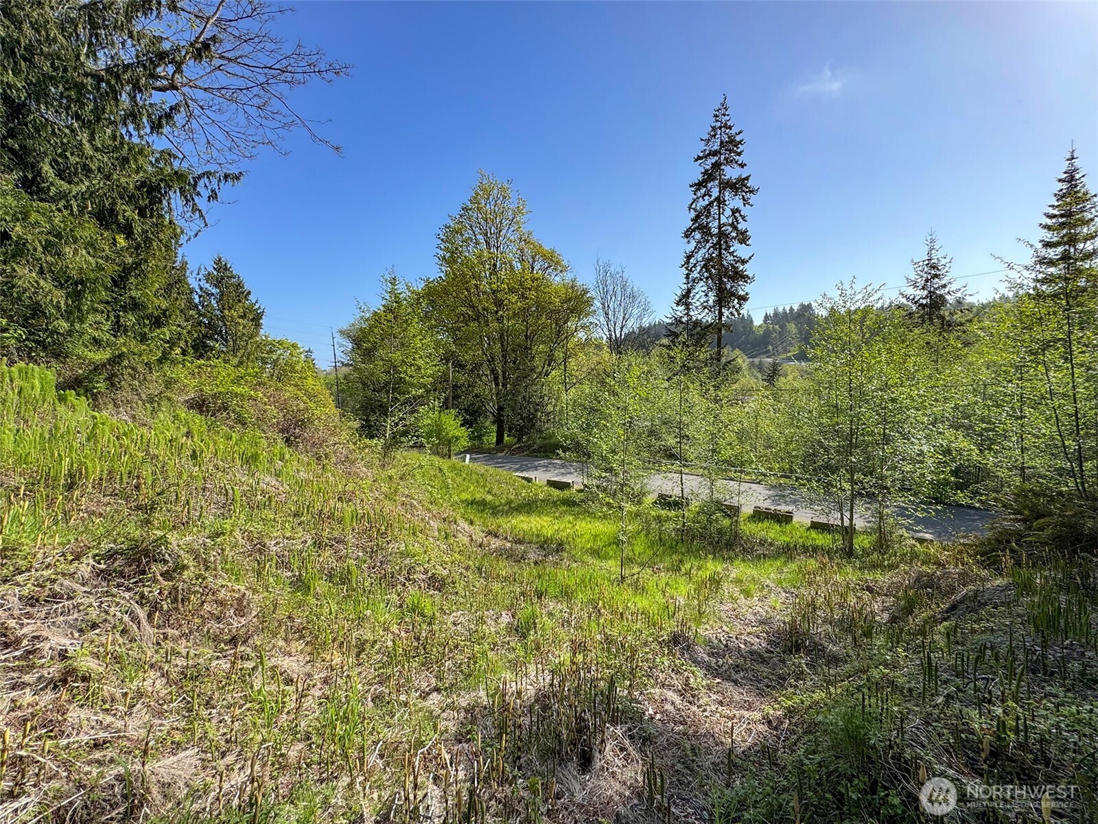 9999 Cottonwood Lane , Port Angeles, WA 98362