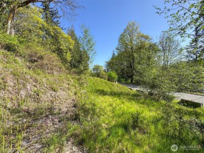9999 Cottonwood Lane , Port Angeles, WA 98362 - Photo 13