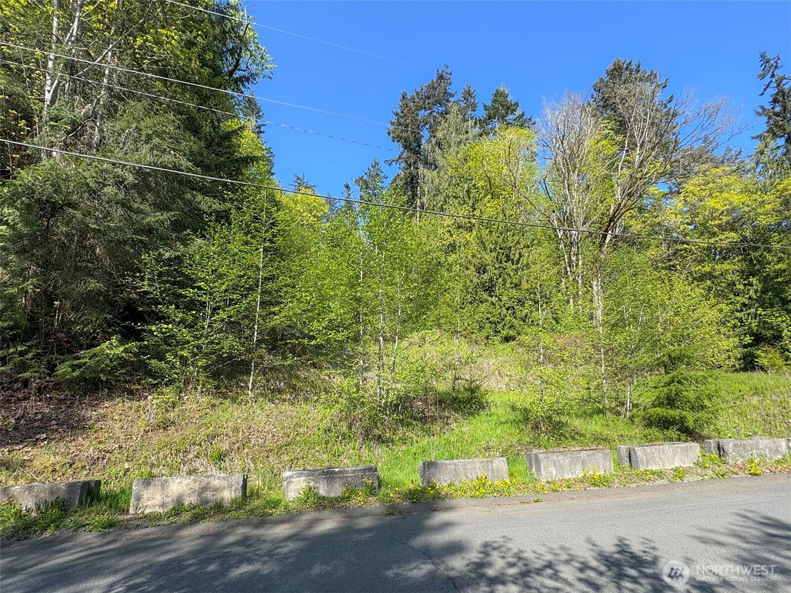 9999 Cottonwood Lane , Port Angeles, WA 98362