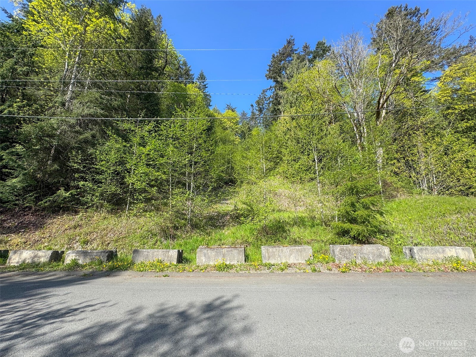 9999 Cottonwood Lane , Port Angeles, WA 98362