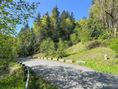 9999 Cottonwood Lane , Port Angeles, WA 98362 - Photo 18
