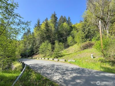 9999 Cottonwood Lane , Port Angeles, WA 98362 - Photo 19