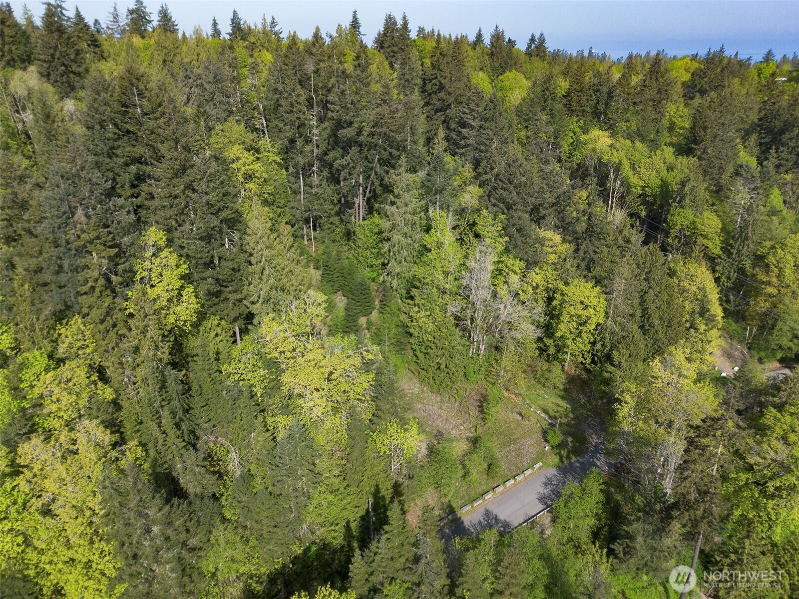 9999 Cottonwood Lane , Port Angeles, WA 98362