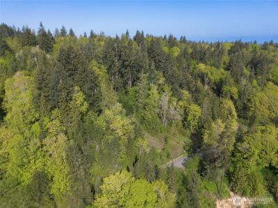 9999 Cottonwood Lane , Port Angeles, WA 98362 - Photo 23