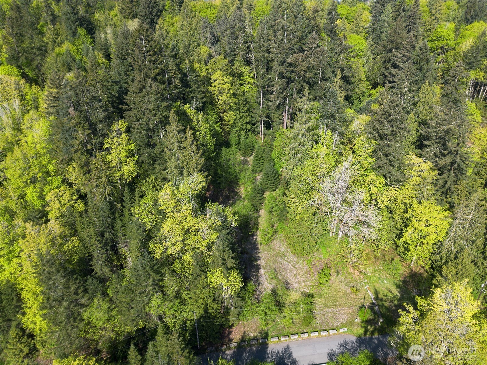 9999 Cottonwood Lane , Port Angeles, WA 98362