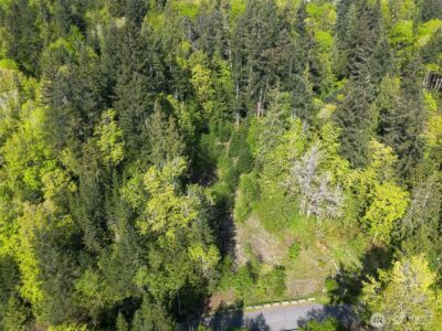 9999 Cottonwood Lane , Port Angeles, WA 98362 - Photo 24