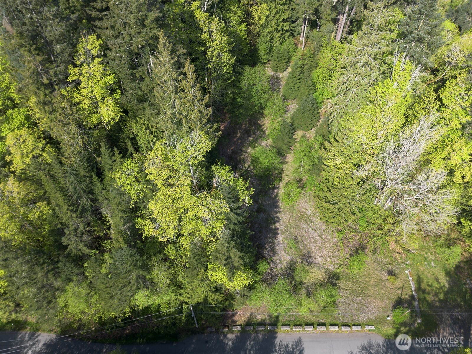 9999 Cottonwood Lane , Port Angeles, WA 98362