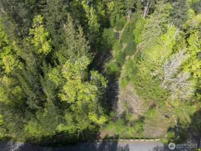 9999 Cottonwood Lane , Port Angeles, WA 98362 - Photo 25