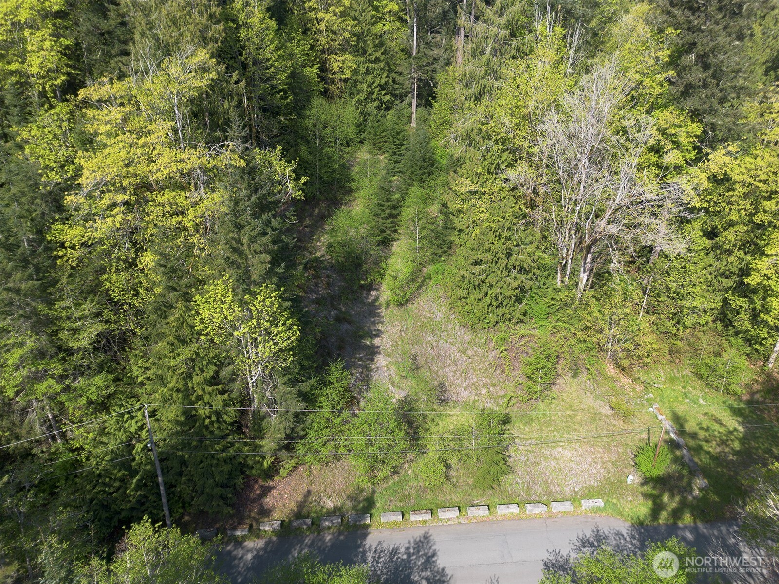 9999 Cottonwood Lane , Port Angeles, WA 98362