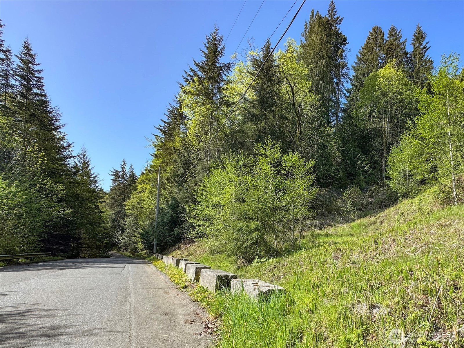 9999 Cottonwood Lane , Port Angeles, WA 98362