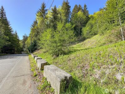9999 Cottonwood Lane , Port Angeles, WA 98362 - Photo 6