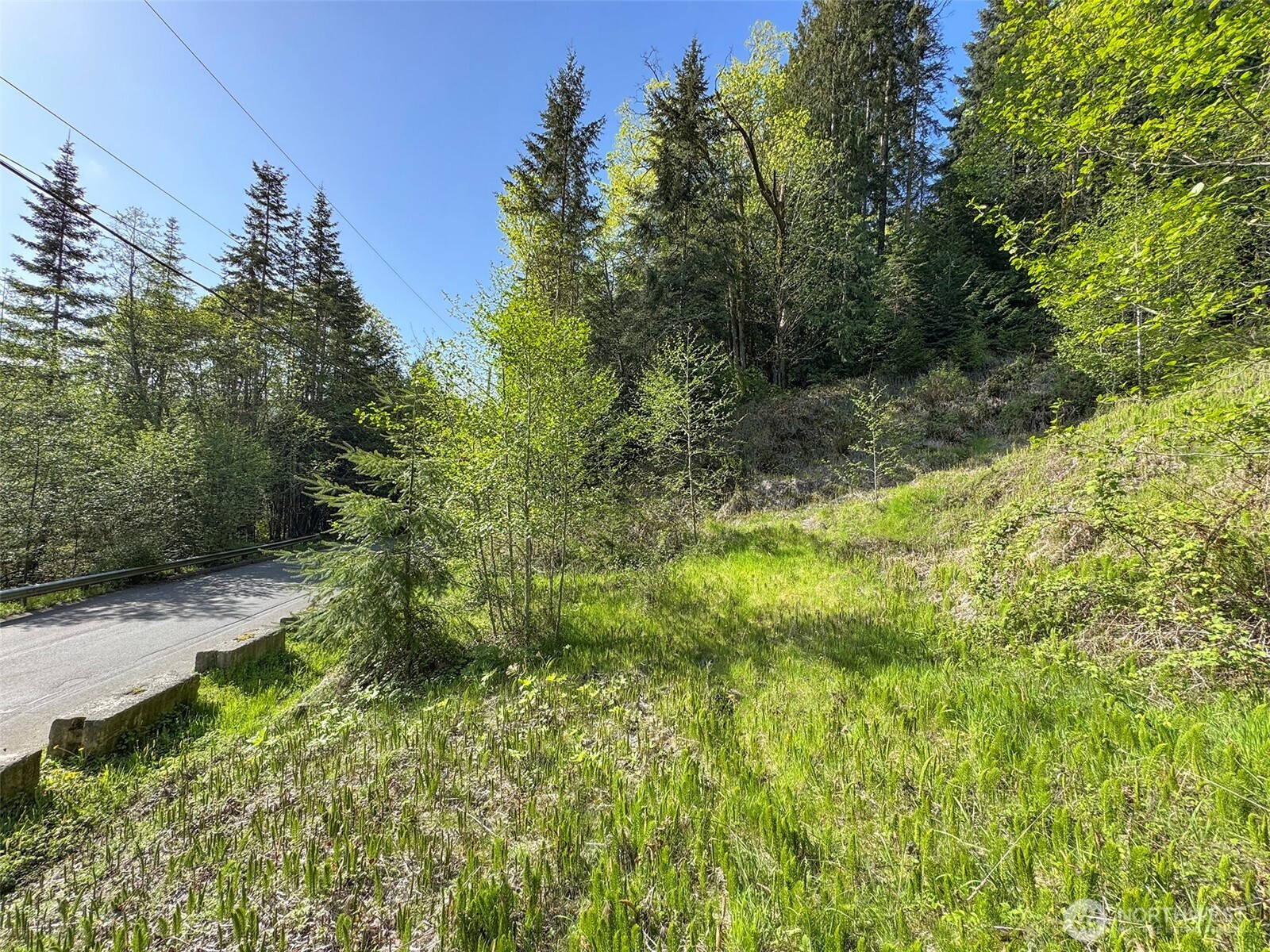 9999 Cottonwood Lane , Port Angeles, WA 98362