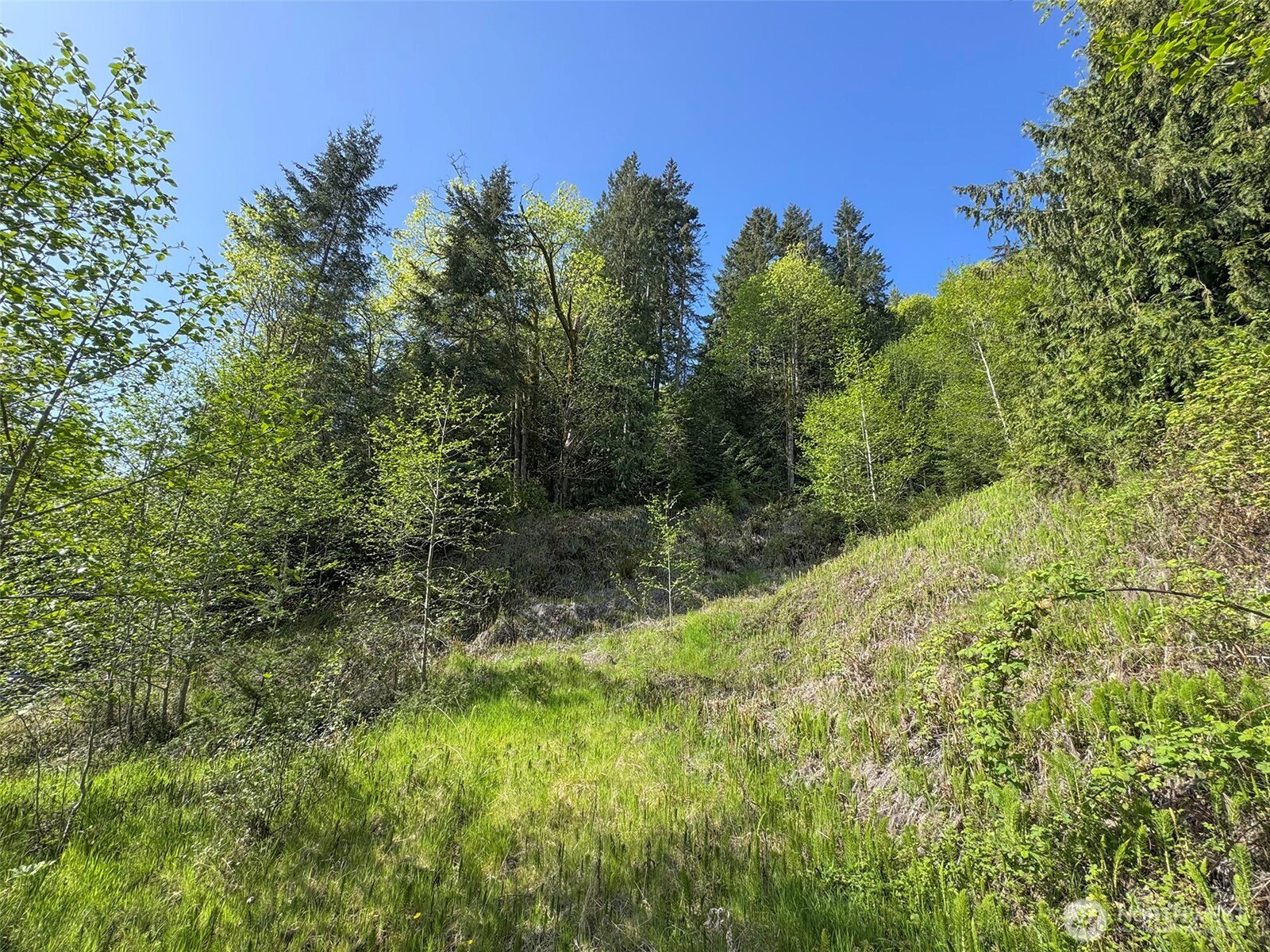 9999 Cottonwood Lane , Port Angeles, WA 98362