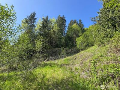 9999 Cottonwood Lane , Port Angeles, WA 98362 - Photo 8