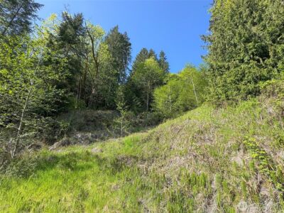 9999 Cottonwood Lane , Port Angeles, WA 98362 - Photo 9