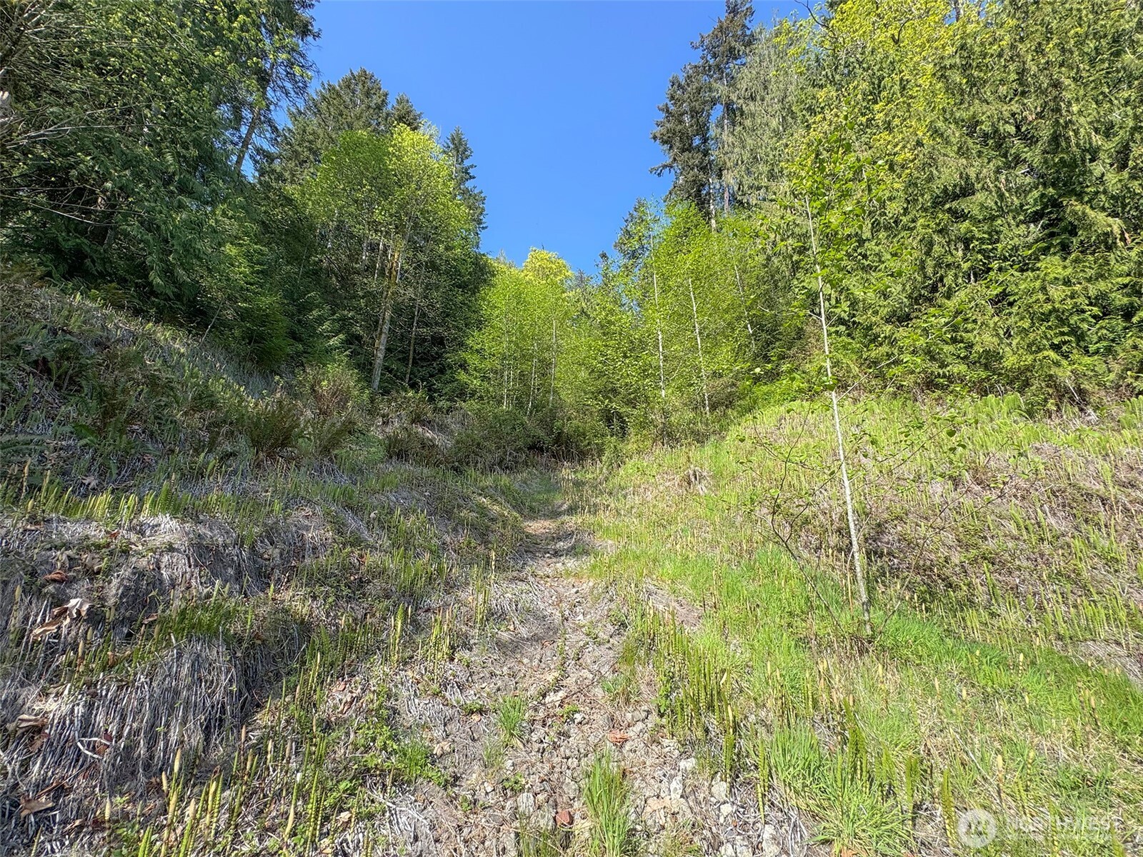 9999 Cottonwood Lane , Port Angeles, WA 98362