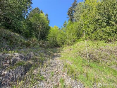 9999 Cottonwood Lane , Port Angeles, WA 98362 - Photo 10