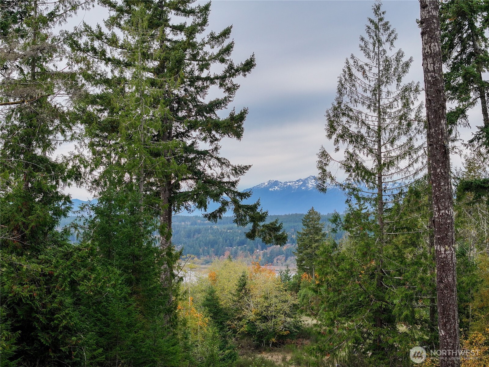 541 NE Squire Lane , Belfair, WA 98528