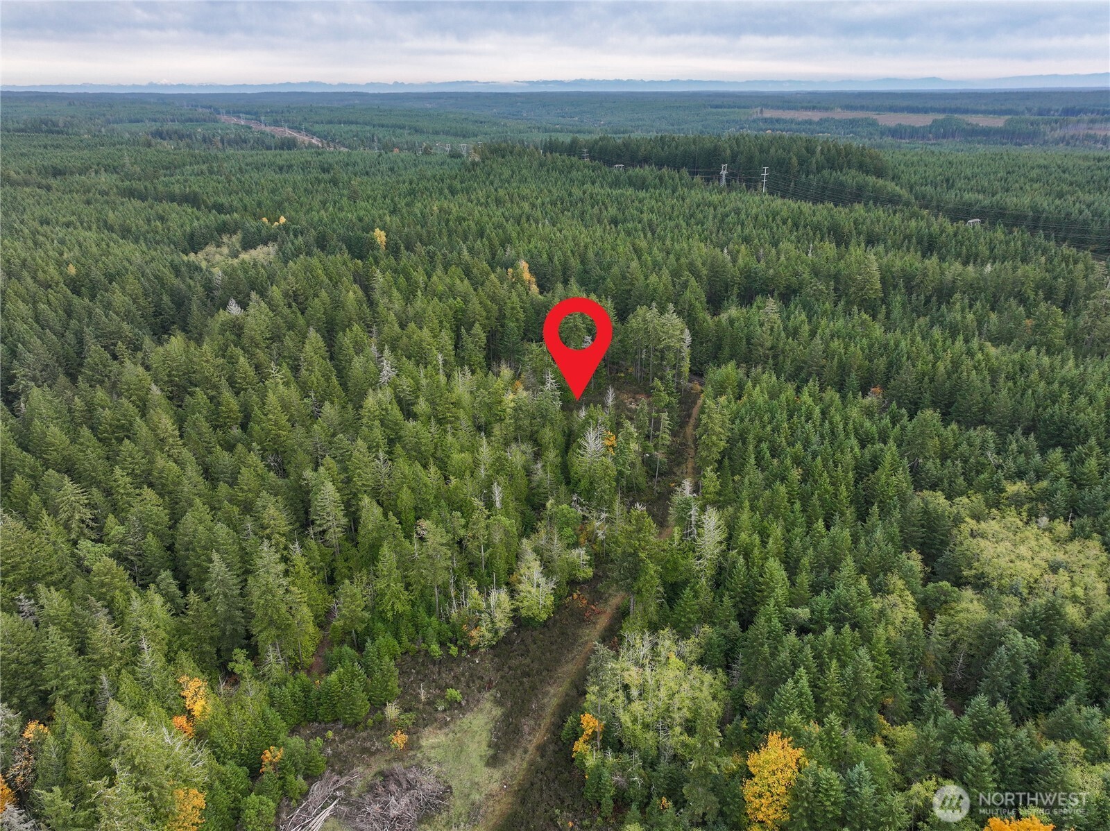 541 NE Squire Lane , Belfair, WA 98528