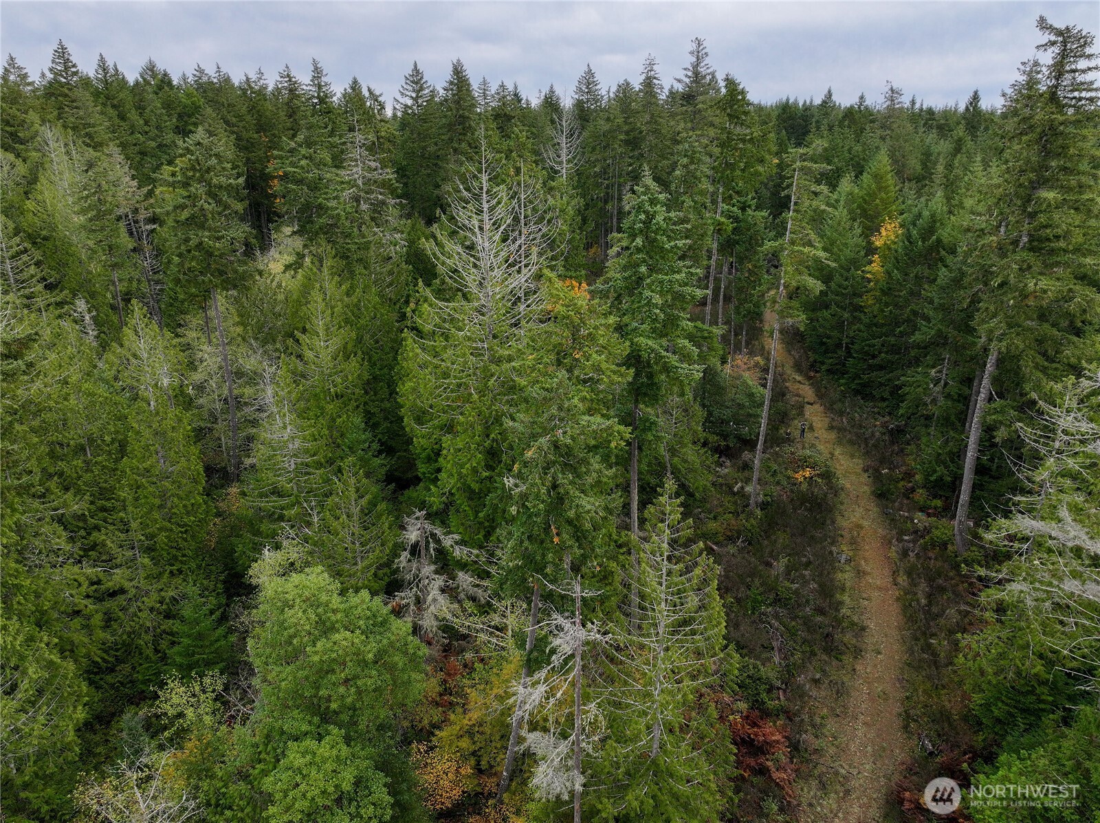 541 NE Squire Lane , Belfair, WA 98528