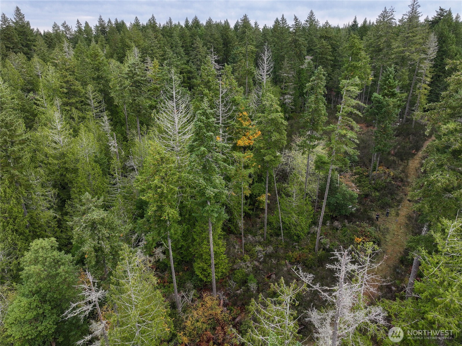 541 NE Squire Lane , Belfair, WA 98528