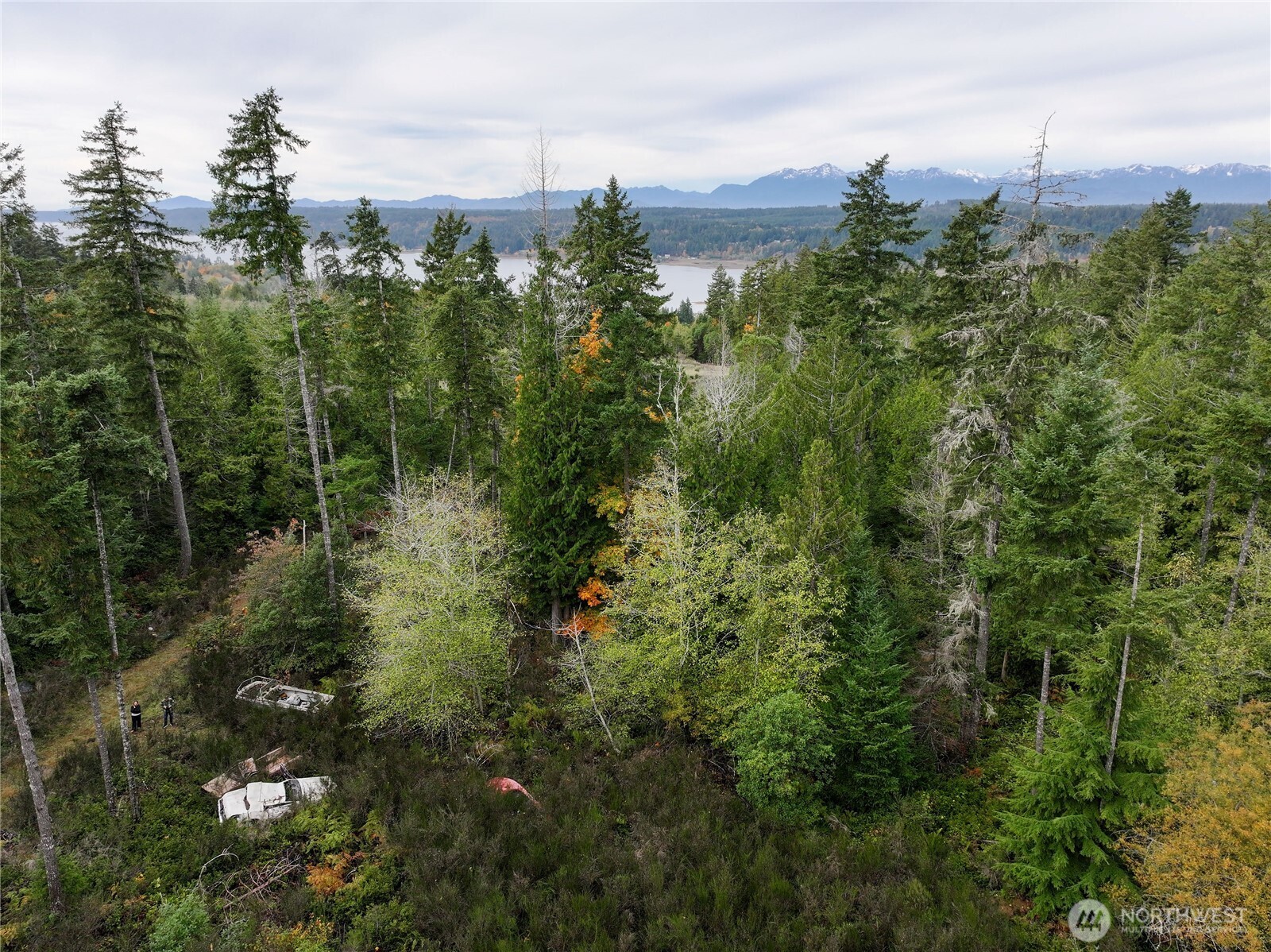 541 NE Squire Lane , Belfair, WA 98528