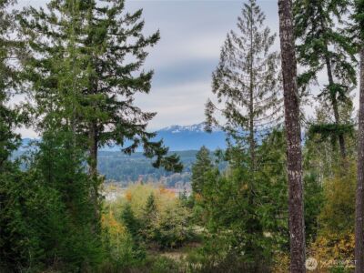 541 NE Squire Lane , Belfair, WA 98528 - Photo 2