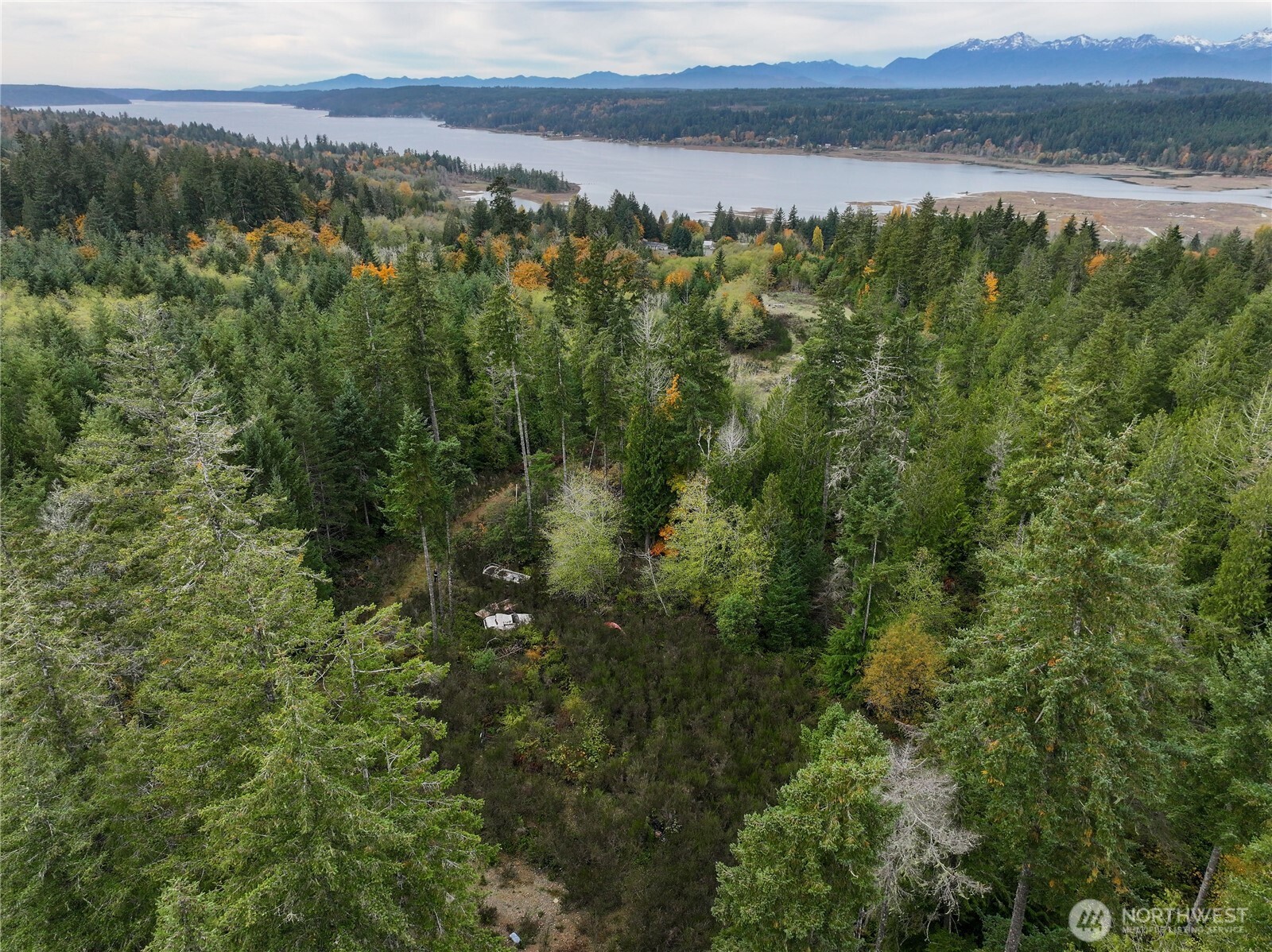 541 NE Squire Lane , Belfair, WA 98528