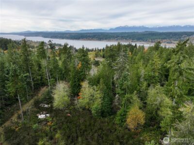 541 NE Squire Lane , Belfair, WA 98528 - Photo 3