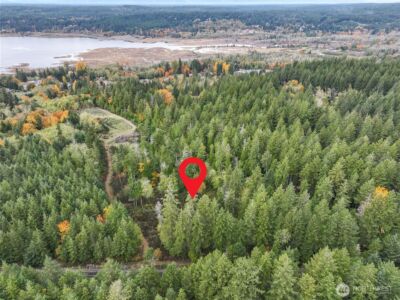 541 NE Squire Lane , Belfair, WA 98528 - Photo 8