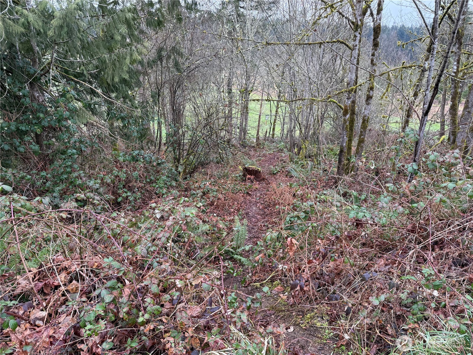 12230 Fairway Drive SW, Olympia, WA 98512